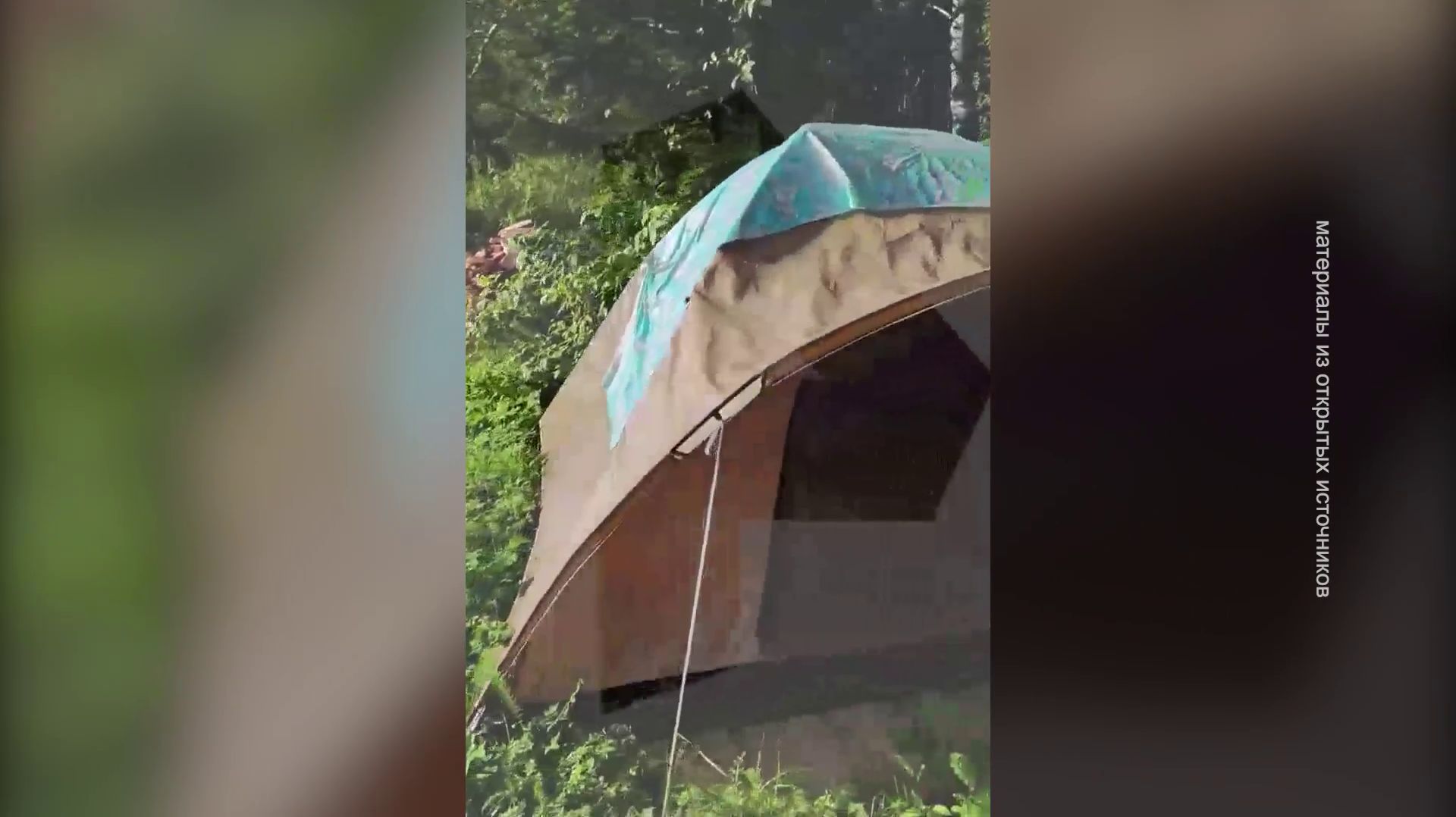 МЕДВЕДЬ РАСТЕРЗАЛ ТУРИСТКУ НА АЛТАЕ
