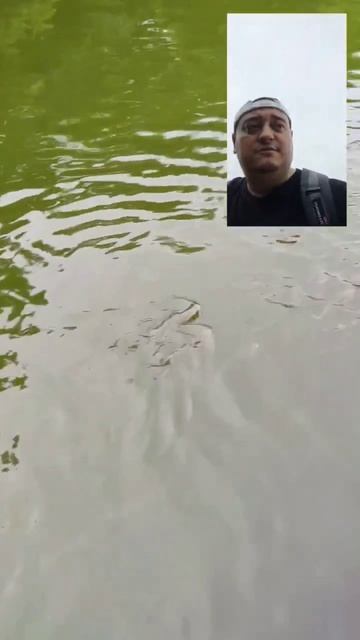 Отдых в Китае. Аквапарк в Бэйдайхэ. Часть 1