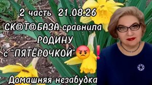 2 часть. СК@Т@БАЗА сравнила РОДИНУ с «ПЯТЁРОЧКОЙ «😡❗️