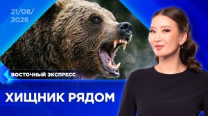 Почему медведи выходят к жителям Бурятии? | «Восточный экспресс» | новости Улан-Удэ