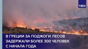 В Греции за поджоги лесов задержали более 300 человек с начала года