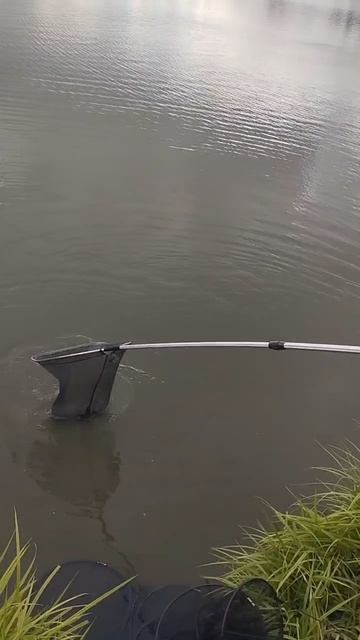 1000050853.mp4