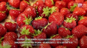 « Во саду ли, в огороде» ( Выпуск от 21.08.2026)