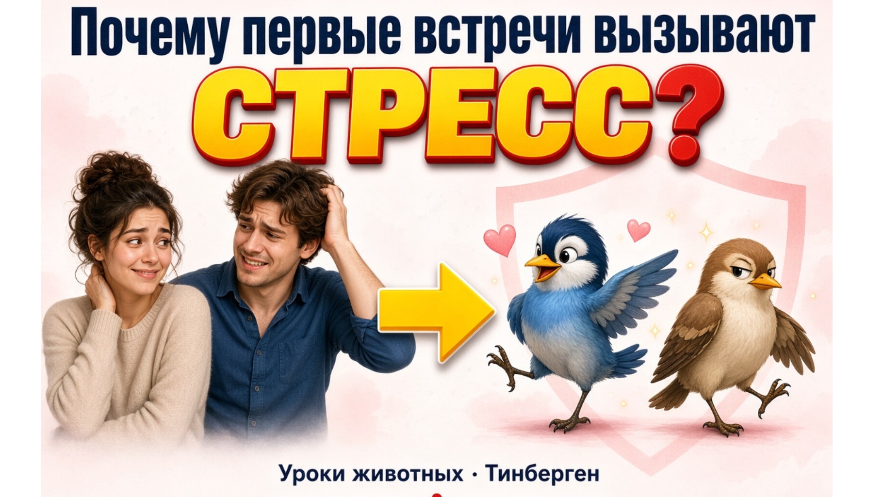Код любви: почему первые встречи вызывают стресс | Уроки животных от Тинбергена