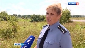 В Липецкой специалистами Россельхознадзора выявлены очаги борщевика Сосновского