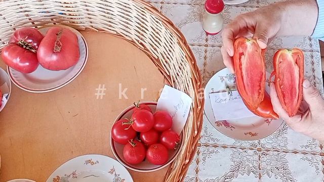 томат🍅 ,,КОРНАБЕЛЬ