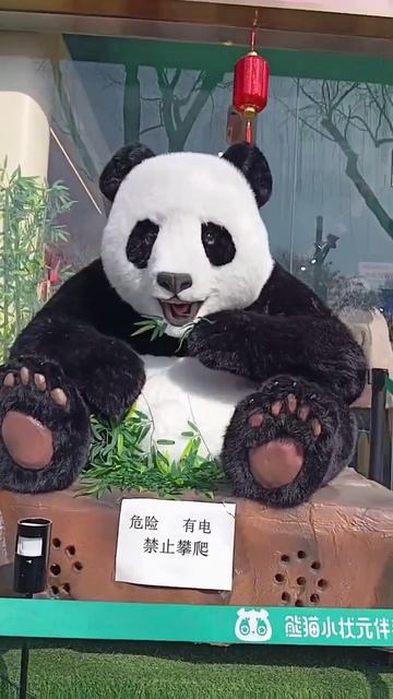 Игрушечная 🐼