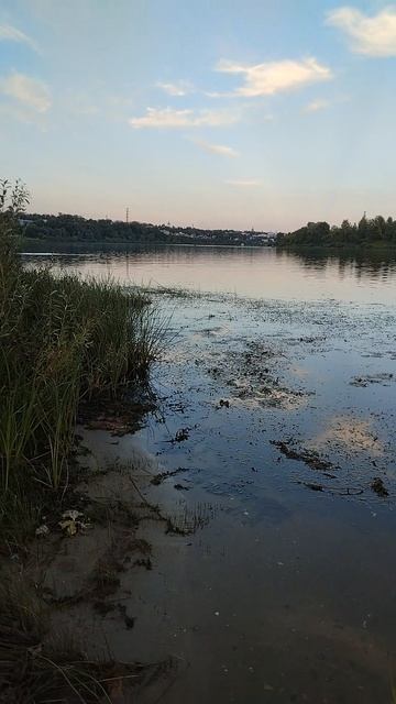 Движение вдали,р Ока.