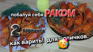 как правильно варить раков.  🦞