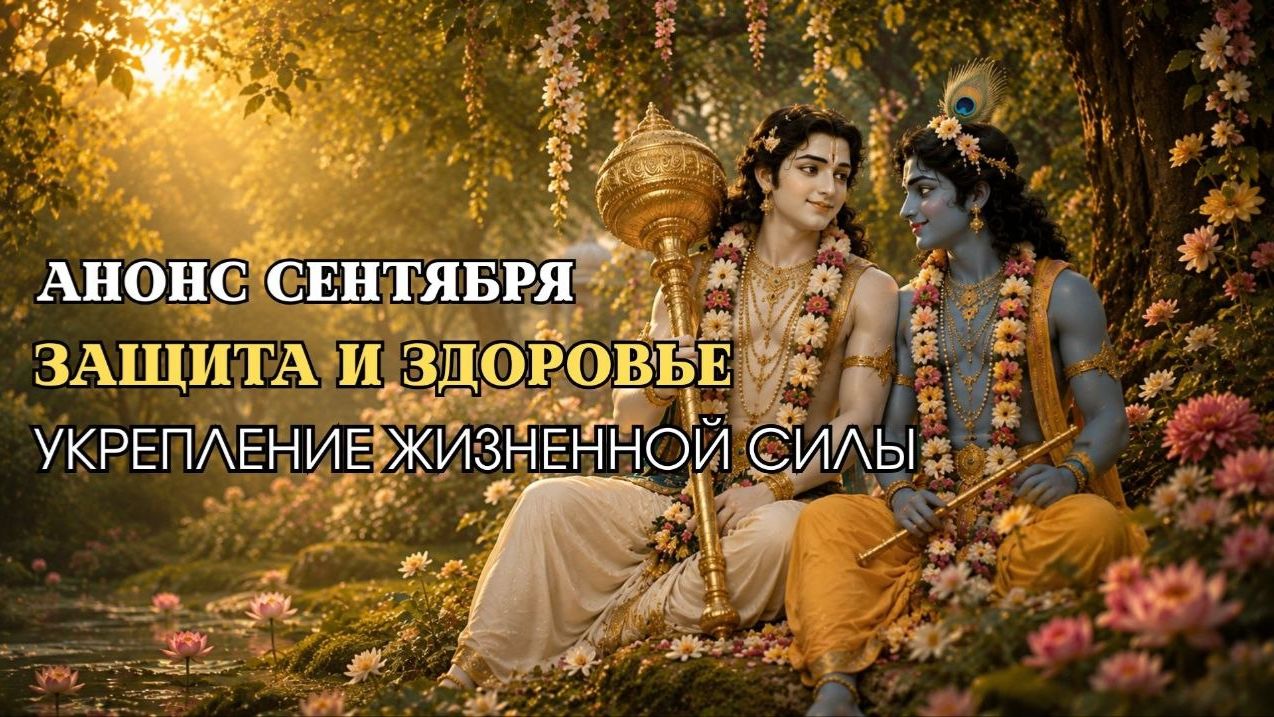 Защита и Здоровье | Анонсы Сентября