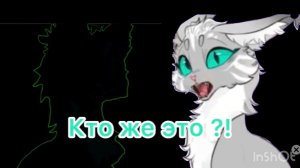 На кого точно стоит подписаться ?