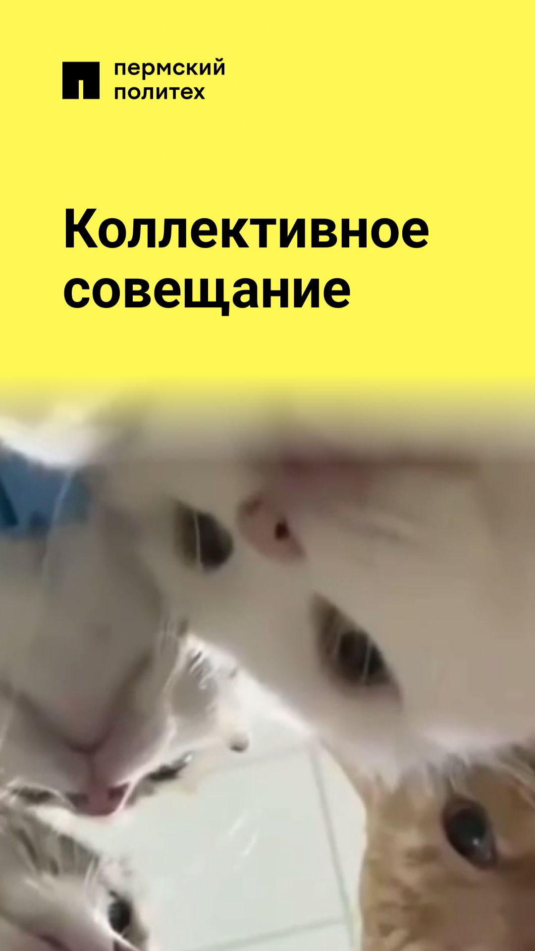 Коллективное совещание