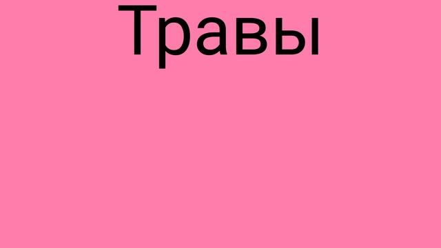 Как же будет по английски ТРАВЫ?