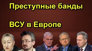 Преступные банды ВСУ в Европе