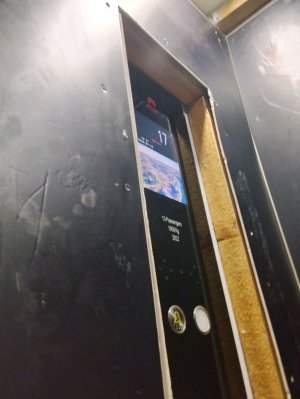 гуляем