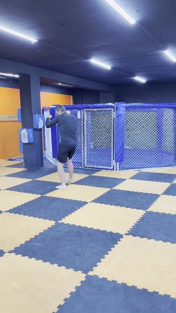 Бой с тенью + школа бокса =техника🥊