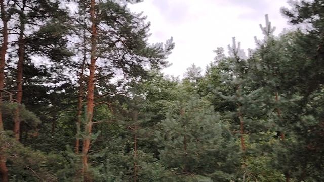 Хотели ли вы, чтобы к вам обращались со словом 