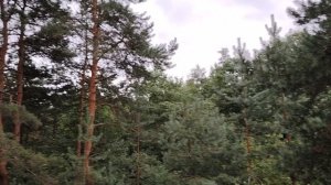 Хотели ли вы, чтобы к вам обращались со словом «господин»?