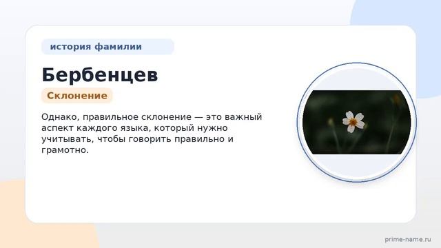Фамилия Бербенцев: происхождение, значение и склонение