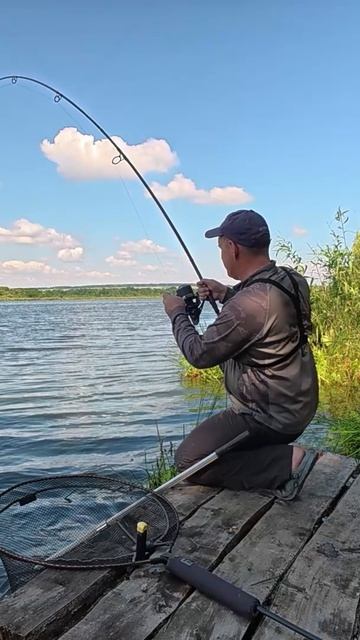 Полевка двух амуров