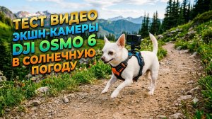 dji osmo 6 тест видео 4K дневной