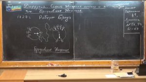 Физика 40.Модель Броуновского движения на примере кусочков сажи