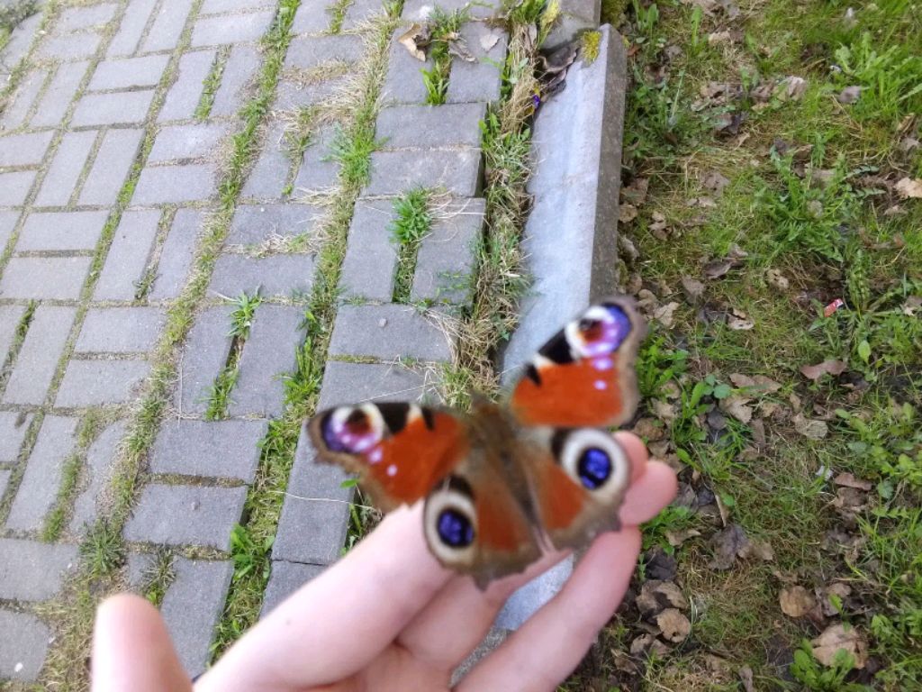 и это Poppy Play Time 5