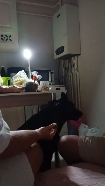Тренировка выдержки