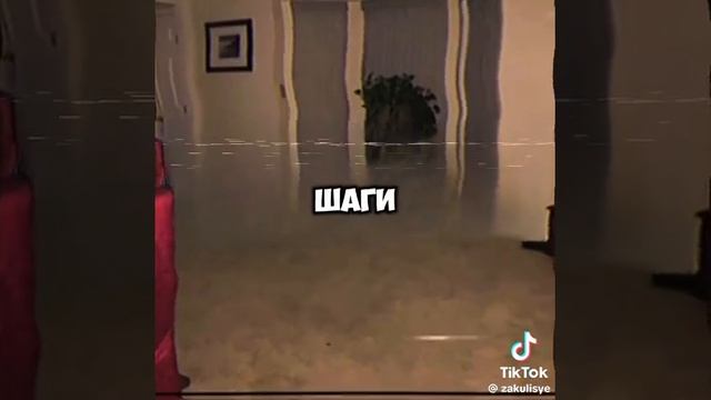 1000001083.mp4
