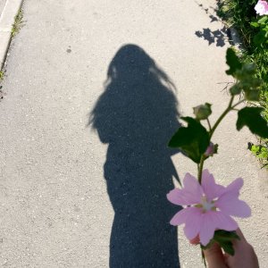 красим пикси няшу