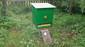 Первая обработка от клеща 21 августа 2026 года...