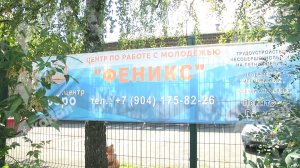 Новая эра «Феникса»