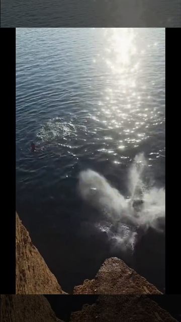 Волшебшая палочка в действии