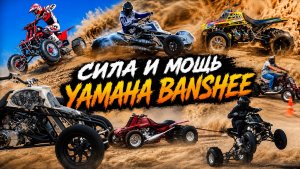 Drag race. Гонки на квадроциклах Yamaha Banshee