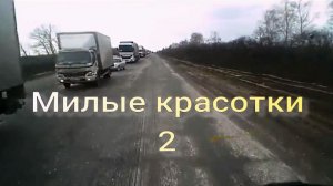 Милые красотки 2. Стихи - И.Рещиков, генерация песни в ИИ, монтаж - Е.Доставалов