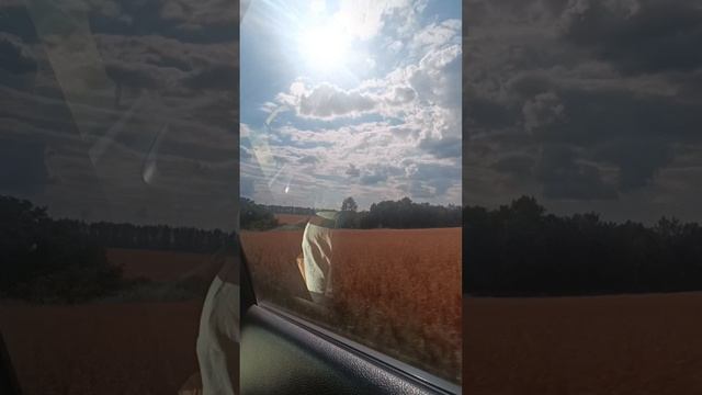 Летополя рыбалочка