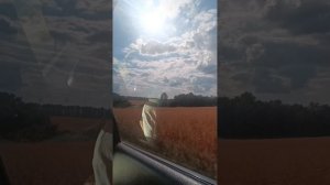Лето🍃поля, рыбалочка)