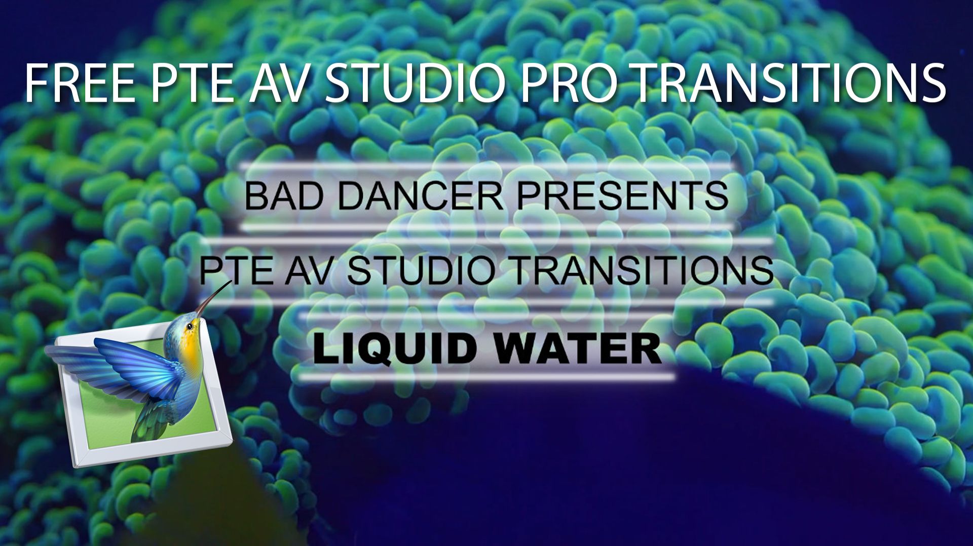 10 Free PTE AV Studio Transitions - Liquid Water