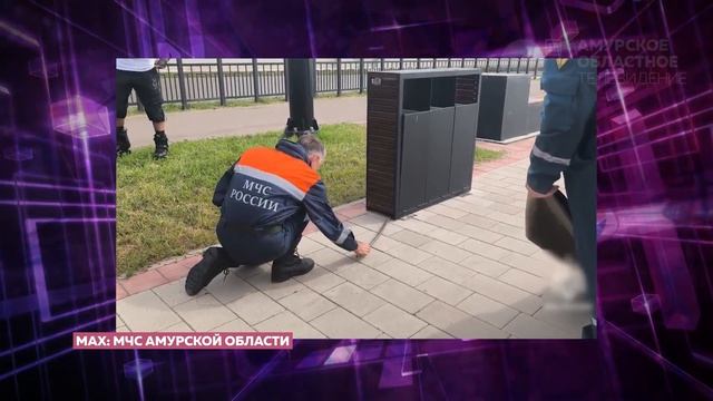 Область в сети  360