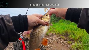 Красноборские рыбалки. День 2. Новые места