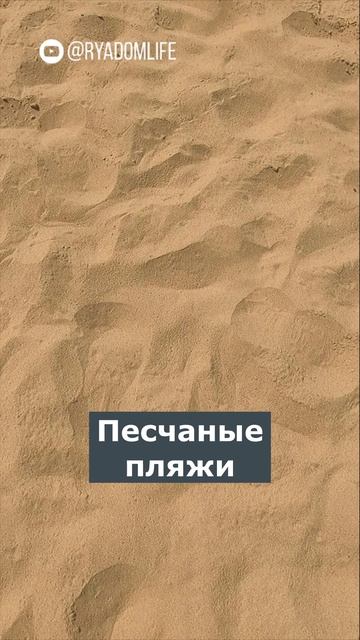 Остров, которого раньше не было! Как появился Зелёненький? На сапах туда, где была суша #рядомлайф