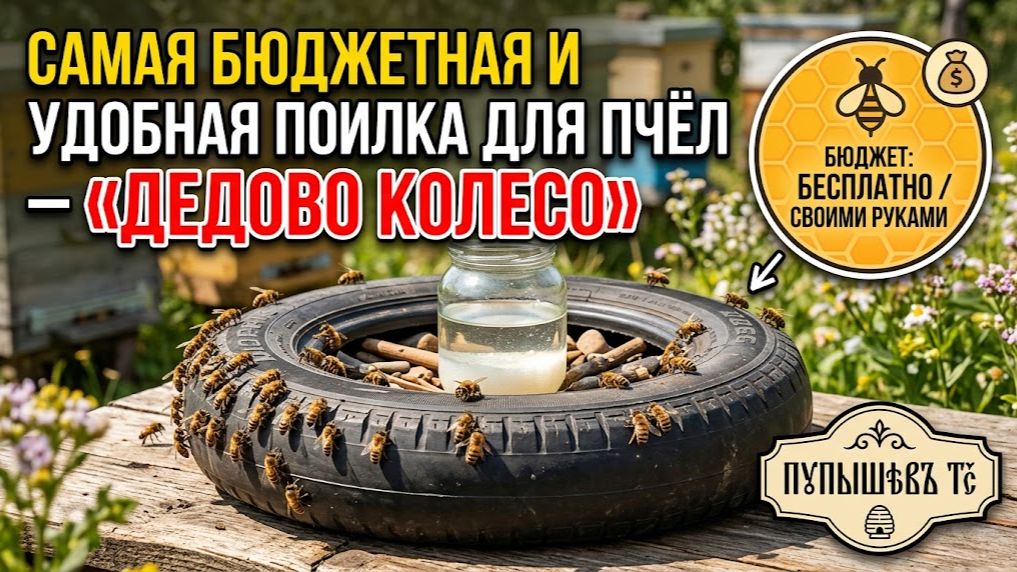 САМАЯ БЮДЖЕТНАЯ И УДОБНАЯ ПОИЛКА ДЛЯ ПЧЁЛ  ДЕДОВО КОЛЕСО