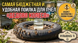 САМАЯ БЮДЖЕТНАЯ И УДОБНАЯ ПОИЛКА ДЛЯ ПЧЁЛ – «ДЕДОВО КОЛЕСО»