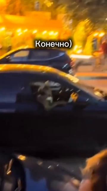 гав