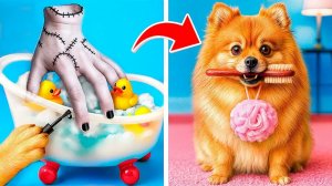 Мы приютили бездомную собаку! Смешные ситуации с животными