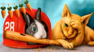 Мы приютили животных! Смешные ситуации с животными(1)