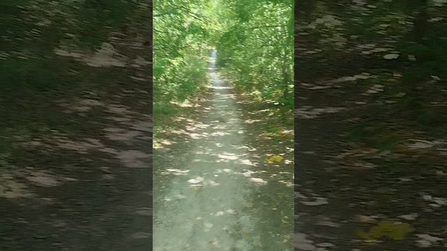 стрижка даёт о себе знать