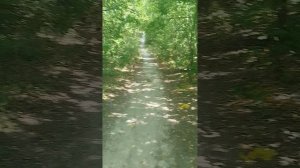 стрижка даёт о себе знать