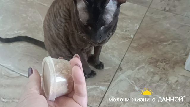 ПАША ПАНАМО**В ГОРОДЕ ПАХНЕТ ЛЕТОМ**ТАКОЕ УТРО. ПЕСНЯ НЕЖНАЯ, ЛАСКОВАЯ, НЕМНОГО ГРУСТНАЯ. СПАСИБО🙏