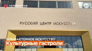 Ольфакторное искусство, Русский Центр Искусства, Калининград, МедиаСфера ТВ 2026
